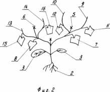 PROCÉDÉ DE CROISSANCE DES PLANTES DE LA CONCOMBRE