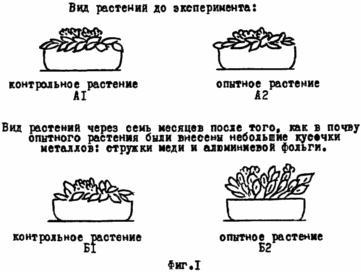 PLANTES MÉTHODE ÉLECTROSTIMULATION VIE