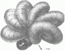 modèle de vide Jvirblis (filetage Jvirblis)