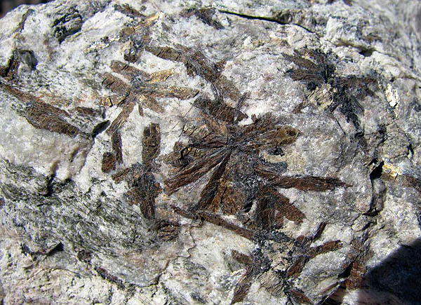 pierres semi-précieuses, pierres précieuses