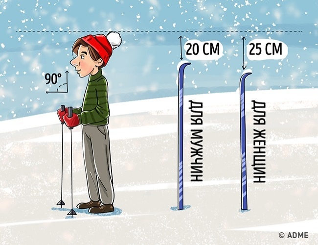Sélection de l'équipement d'hiver Выбор зимнего снаряжения
